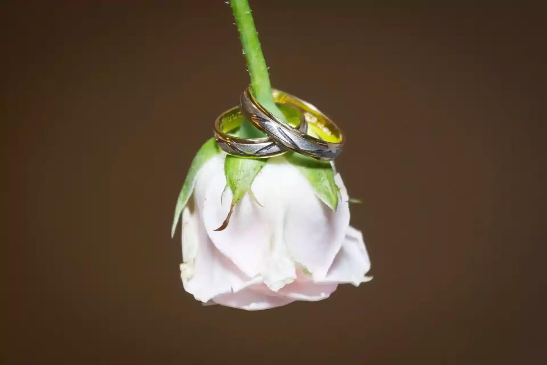 Photographe mariage dans le Var - Olivier Dilmi